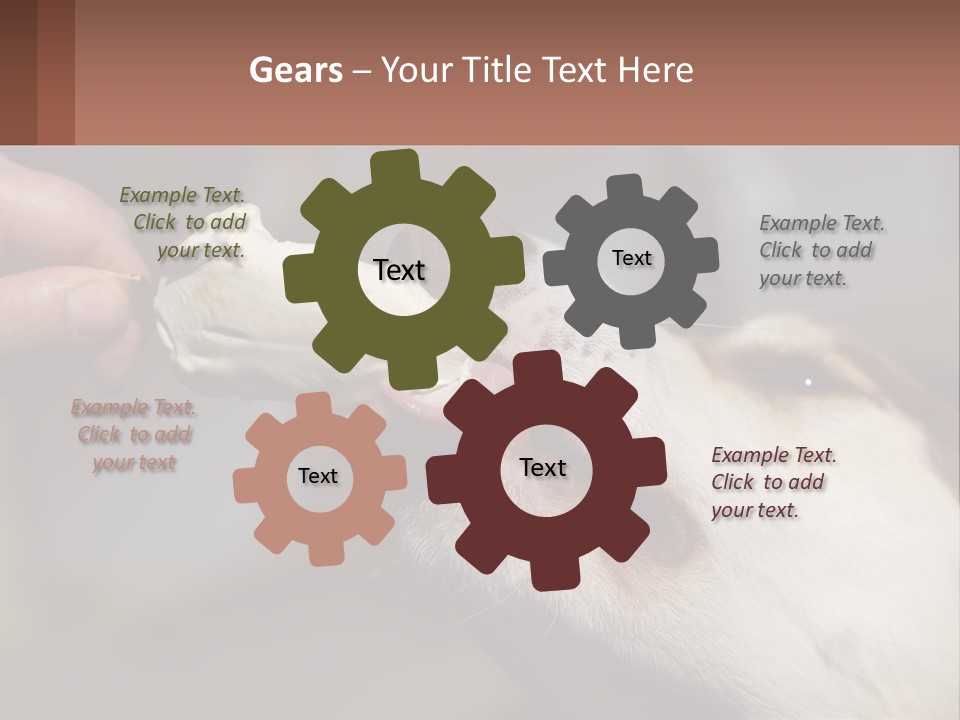 A Person Feeding A Dog A Piece Of Food PowerPoint Template