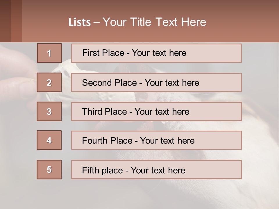 A Person Feeding A Dog A Piece Of Food PowerPoint Template