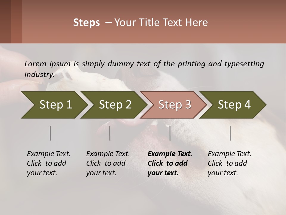 A Person Feeding A Dog A Piece Of Food PowerPoint Template