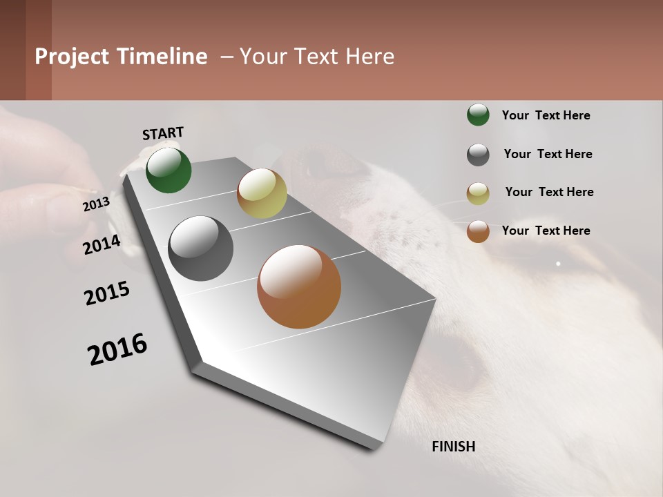 A Person Feeding A Dog A Piece Of Food PowerPoint Template