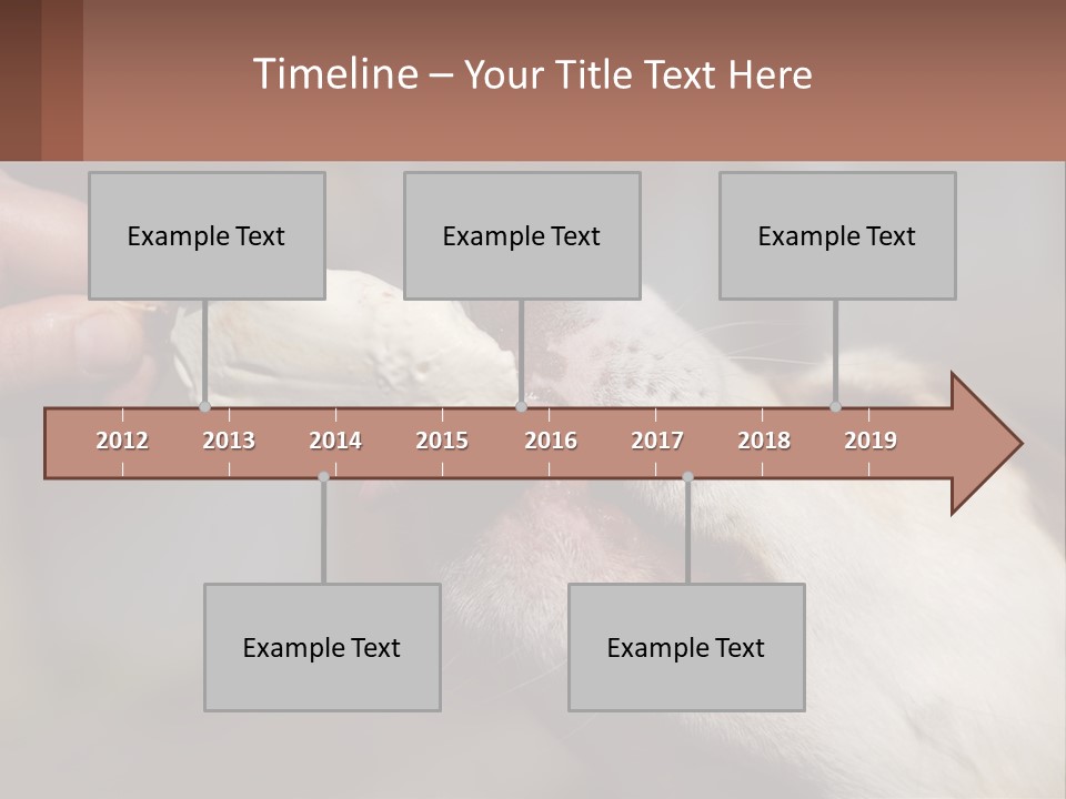A Person Feeding A Dog A Piece Of Food PowerPoint Template