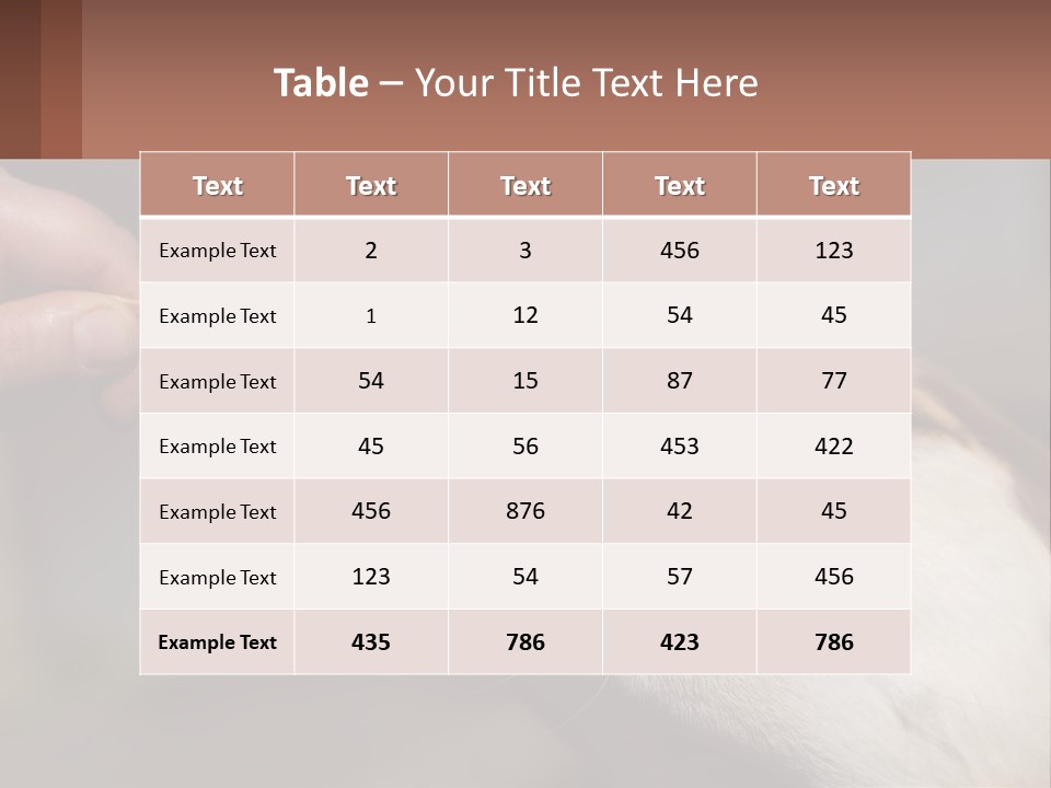 A Person Feeding A Dog A Piece Of Food PowerPoint Template