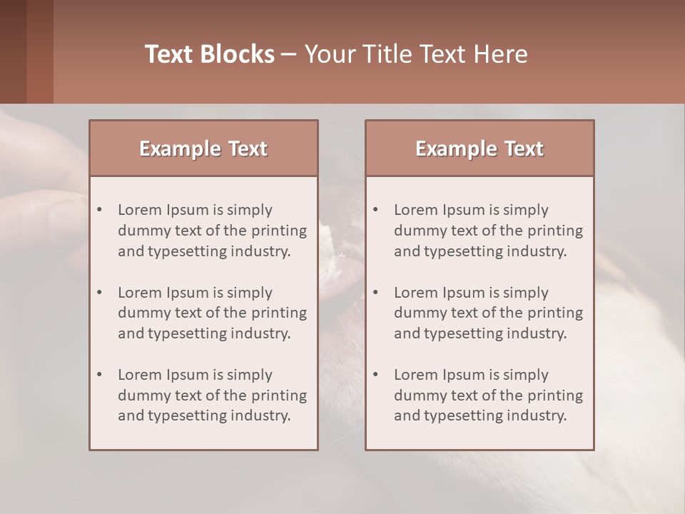 A Person Feeding A Dog A Piece Of Food PowerPoint Template