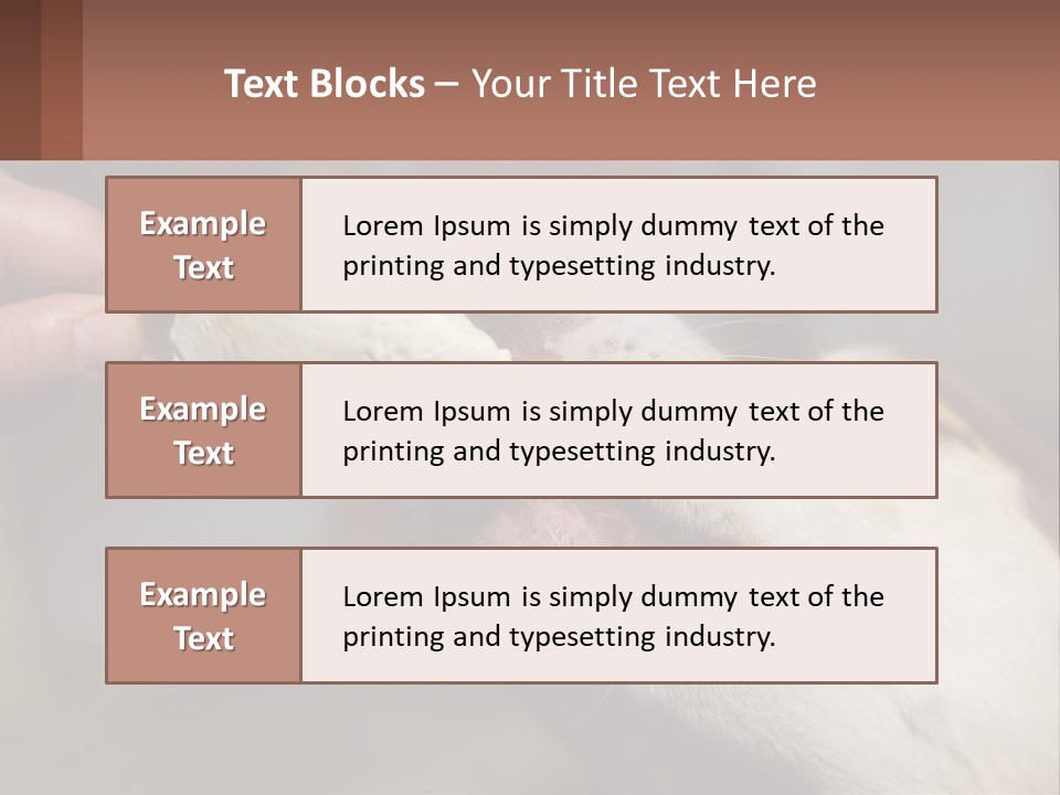 A Person Feeding A Dog A Piece Of Food PowerPoint Template