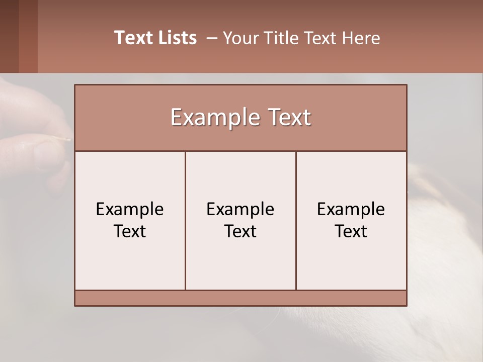 A Person Feeding A Dog A Piece Of Food PowerPoint Template