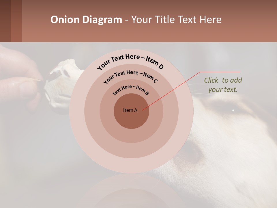 A Person Feeding A Dog A Piece Of Food PowerPoint Template