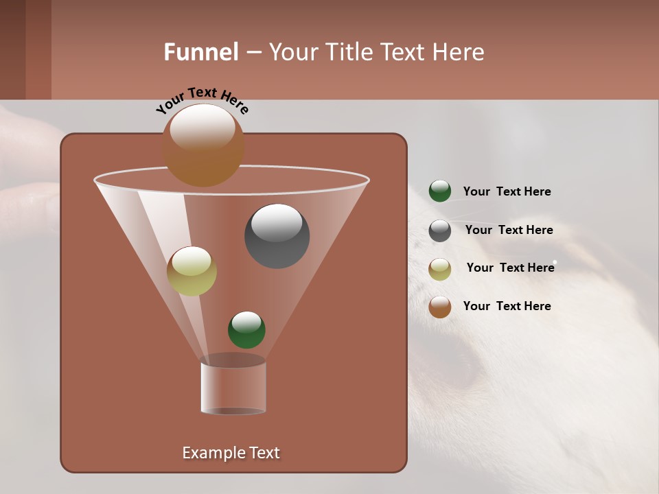 A Person Feeding A Dog A Piece Of Food PowerPoint Template