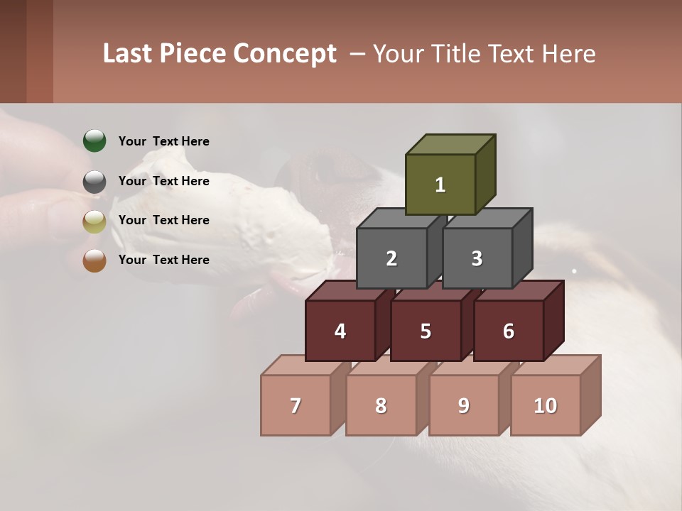 A Person Feeding A Dog A Piece Of Food PowerPoint Template