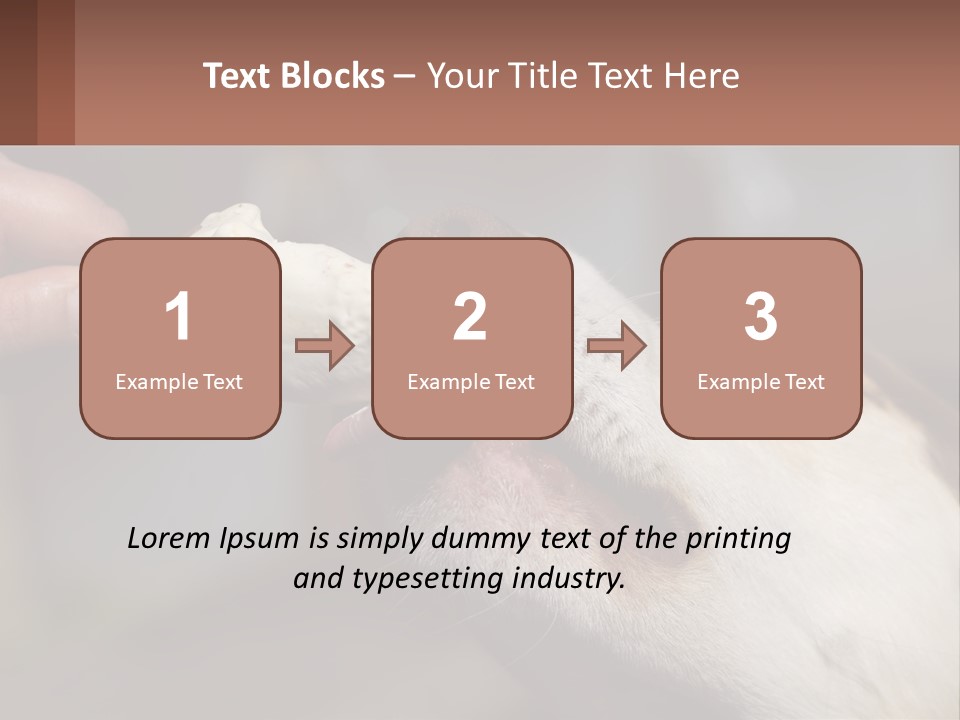 A Person Feeding A Dog A Piece Of Food PowerPoint Template