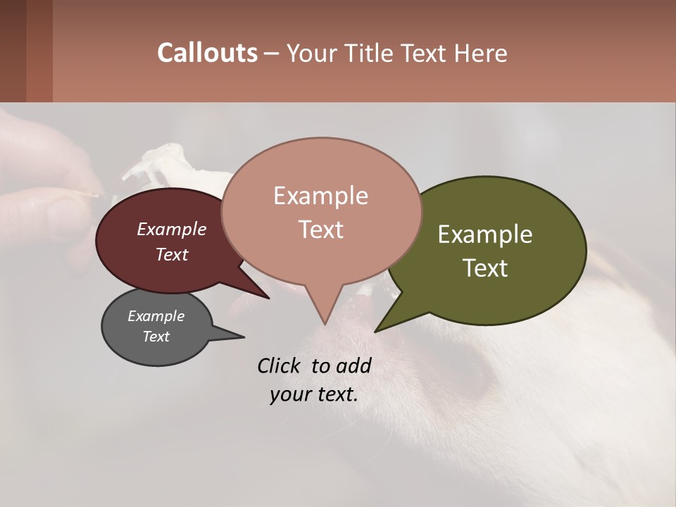 A Person Feeding A Dog A Piece Of Food PowerPoint Template