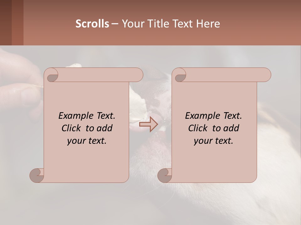 A Person Feeding A Dog A Piece Of Food PowerPoint Template