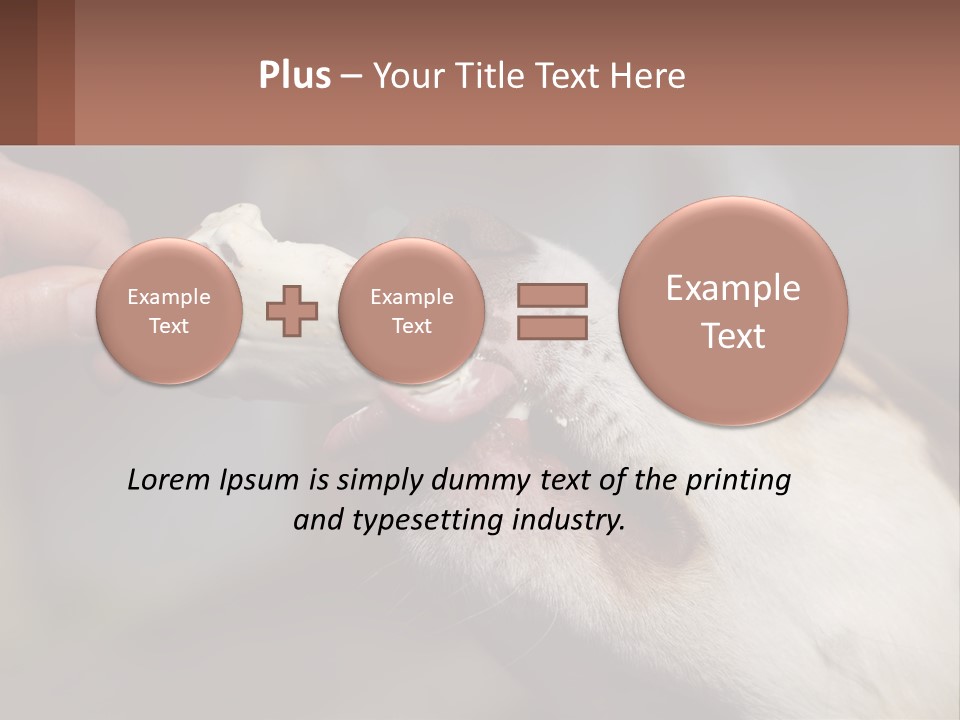 A Person Feeding A Dog A Piece Of Food PowerPoint Template