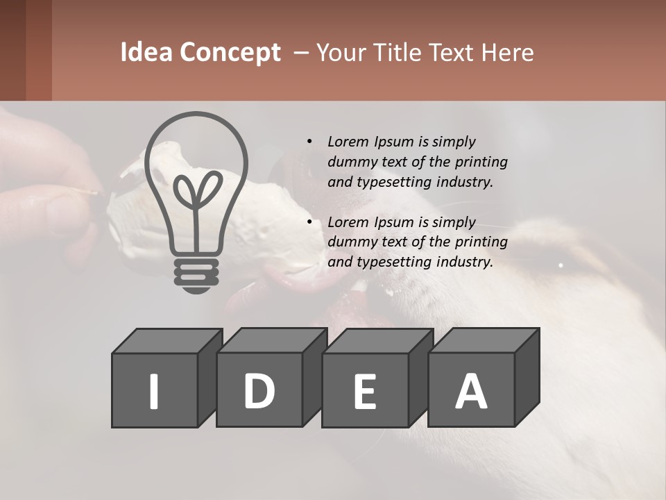 A Person Feeding A Dog A Piece Of Food PowerPoint Template