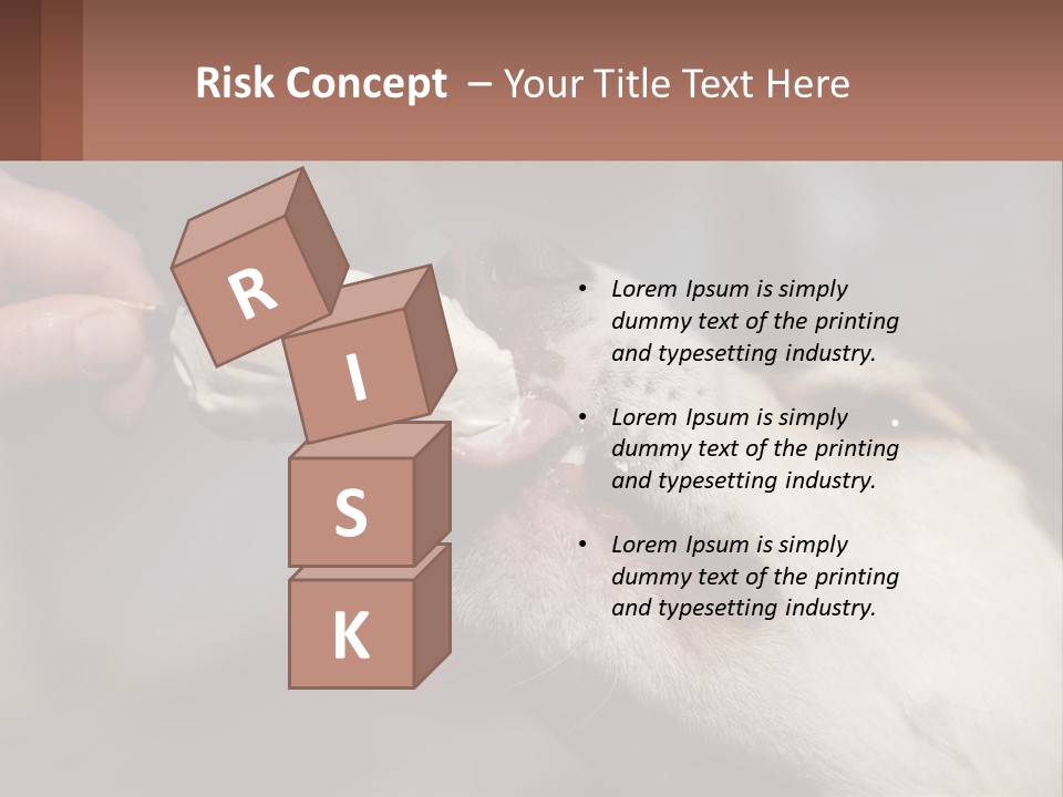 A Person Feeding A Dog A Piece Of Food PowerPoint Template