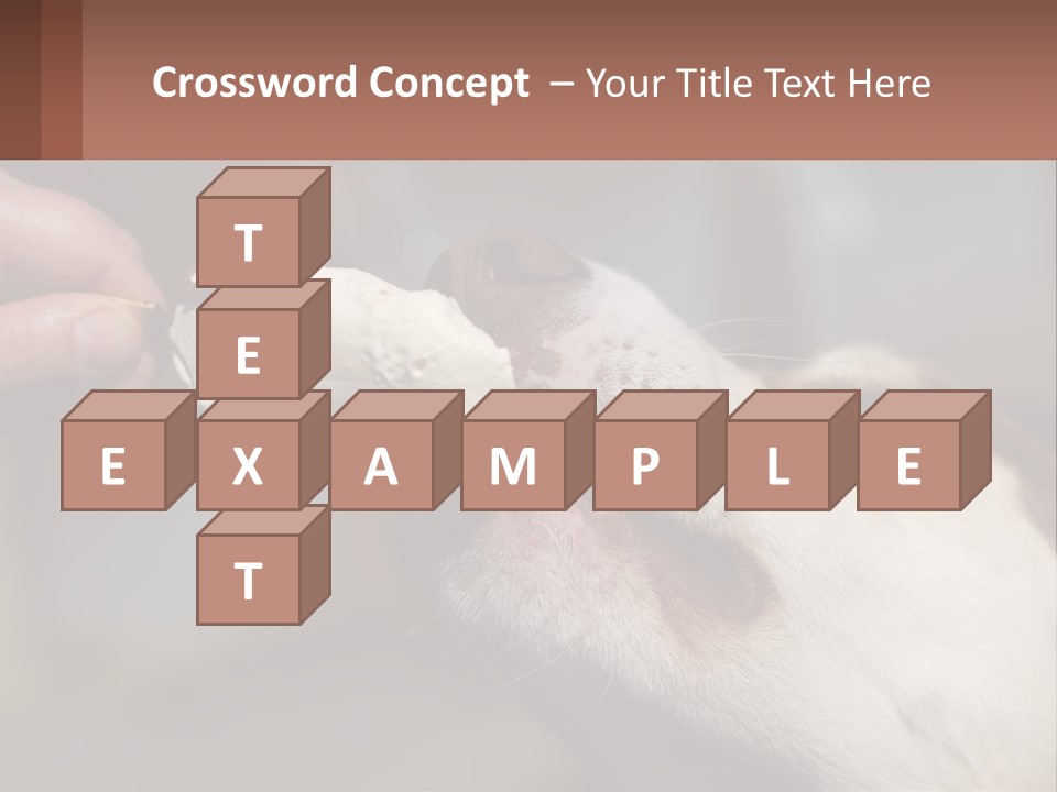 A Person Feeding A Dog A Piece Of Food PowerPoint Template