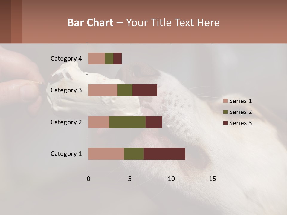 A Person Feeding A Dog A Piece Of Food PowerPoint Template