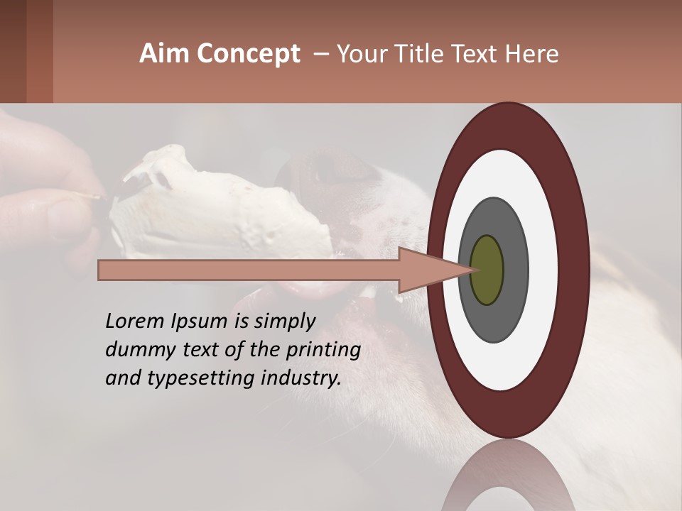 A Person Feeding A Dog A Piece Of Food PowerPoint Template