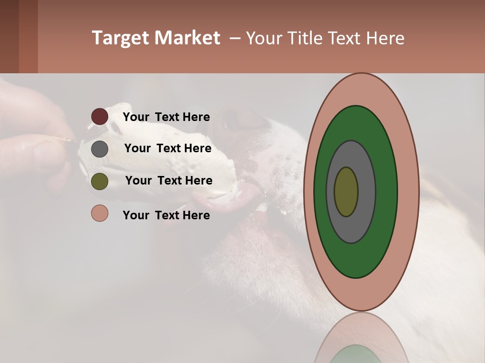 A Person Feeding A Dog A Piece Of Food PowerPoint Template