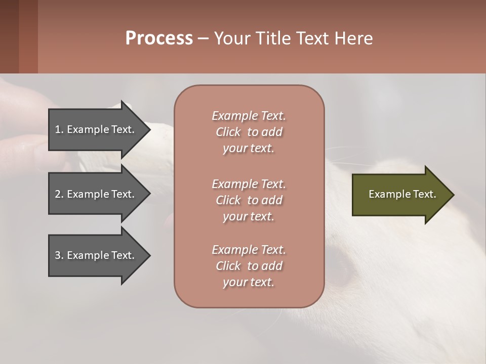 A Person Feeding A Dog A Piece Of Food PowerPoint Template