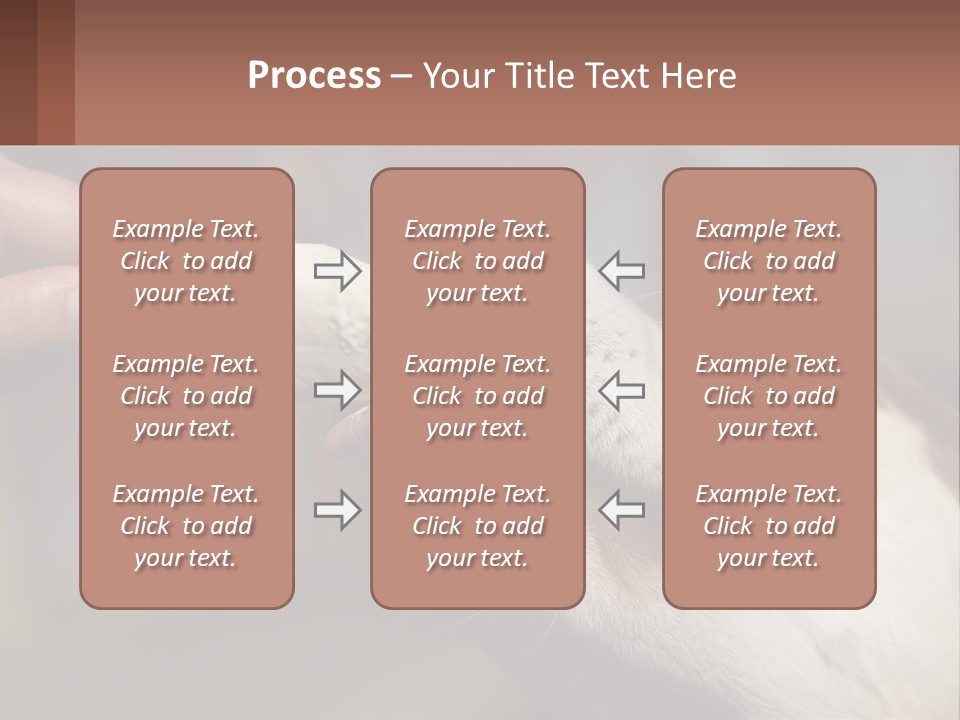 A Person Feeding A Dog A Piece Of Food PowerPoint Template