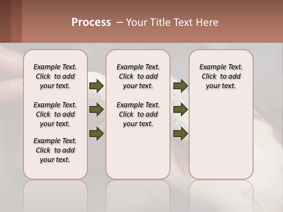 A Person Feeding A Dog A Piece Of Food PowerPoint Template