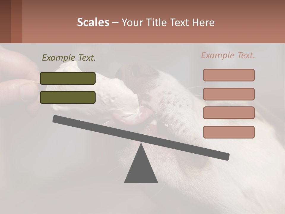 A Person Feeding A Dog A Piece Of Food PowerPoint Template