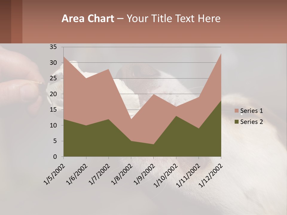 A Person Feeding A Dog A Piece Of Food PowerPoint Template