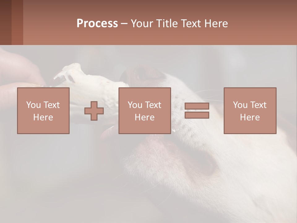 A Person Feeding A Dog A Piece Of Food PowerPoint Template