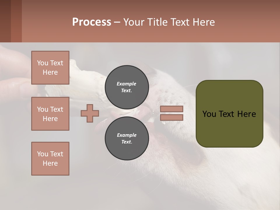 A Person Feeding A Dog A Piece Of Food PowerPoint Template