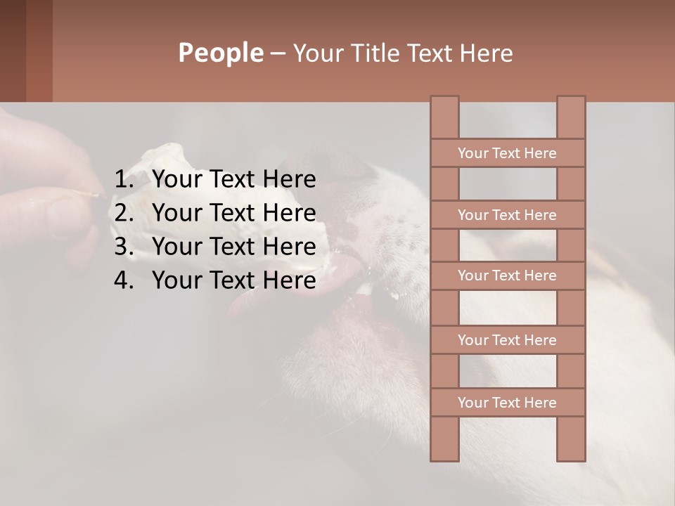 A Person Feeding A Dog A Piece Of Food PowerPoint Template