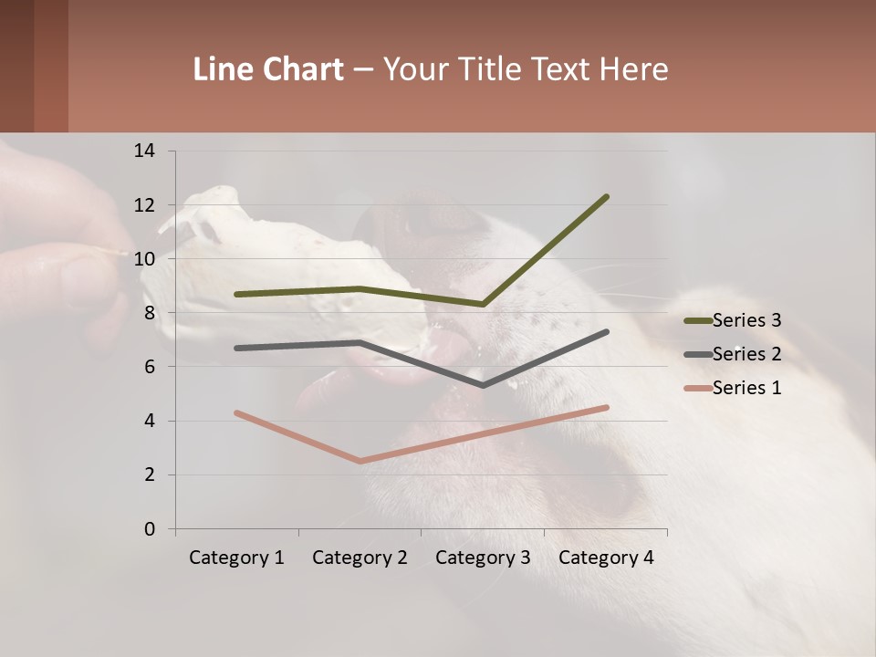 A Person Feeding A Dog A Piece Of Food PowerPoint Template