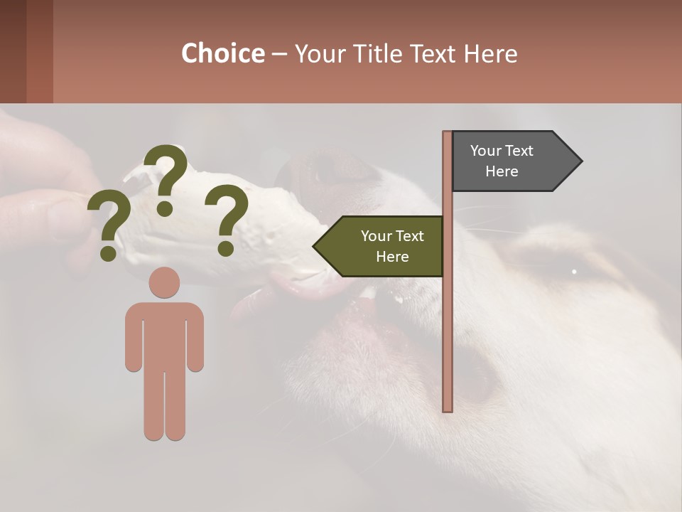 A Person Feeding A Dog A Piece Of Food PowerPoint Template