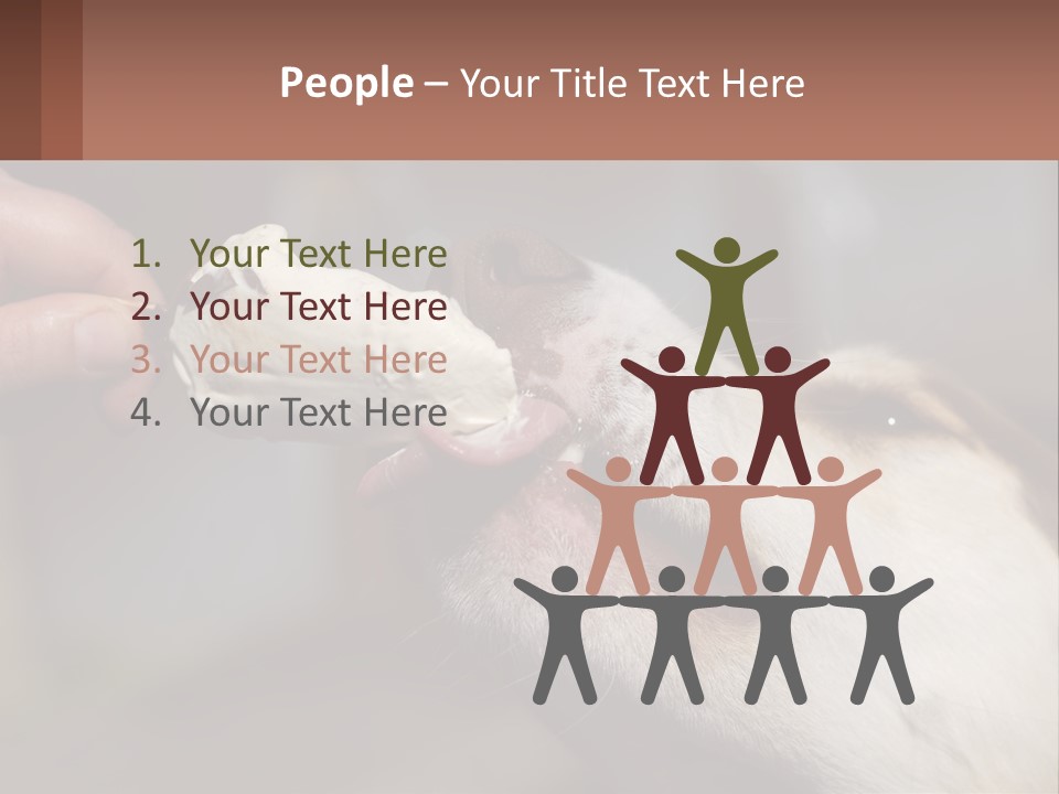 A Person Feeding A Dog A Piece Of Food PowerPoint Template