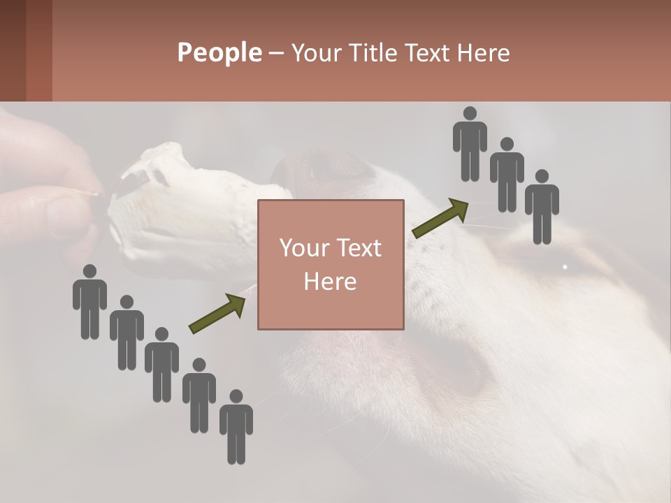 A Person Feeding A Dog A Piece Of Food PowerPoint Template