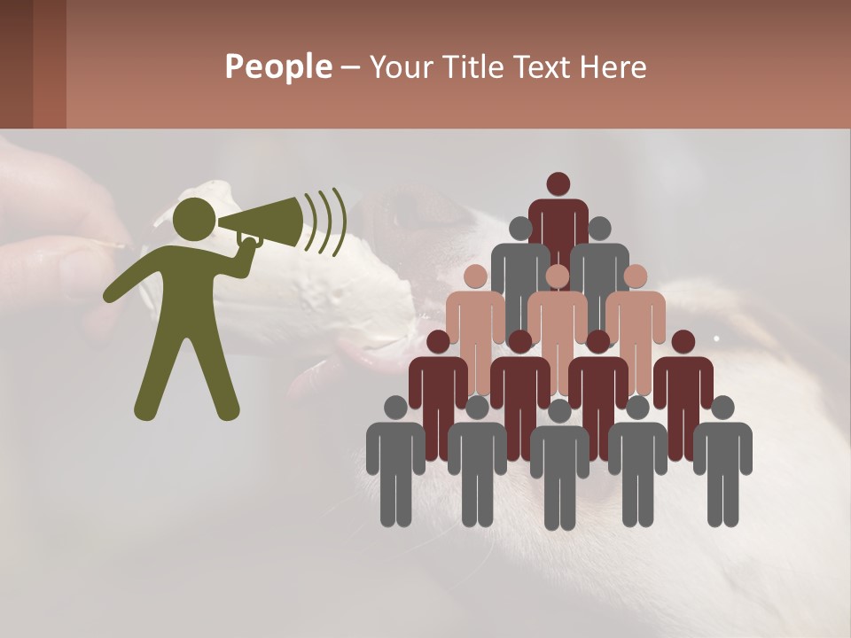 A Person Feeding A Dog A Piece Of Food PowerPoint Template