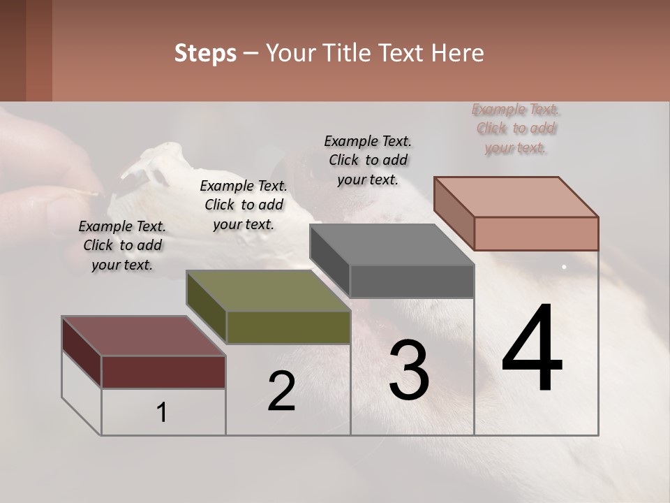 A Person Feeding A Dog A Piece Of Food PowerPoint Template