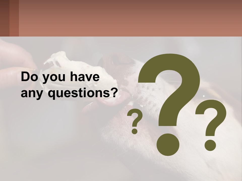 A Person Feeding A Dog A Piece Of Food PowerPoint Template