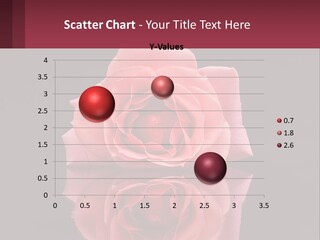 A Pink Rose On A Black Background With A Reflection PowerPoint Template