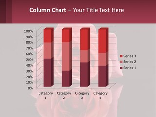 A Pink Rose On A Black Background With A Reflection PowerPoint Template