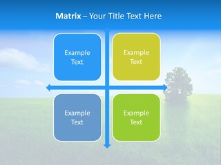 A Green Field With A Tree In The Middle Of It PowerPoint Template