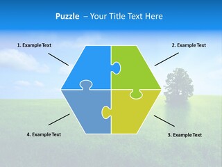 A Green Field With A Tree In The Middle Of It PowerPoint Template