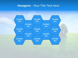 A Green Field With A Tree In The Middle Of It PowerPoint Template