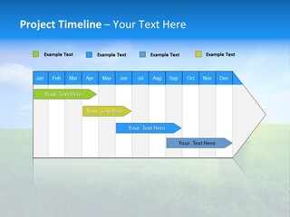 A Green Field With A Tree In The Middle Of It PowerPoint Template
