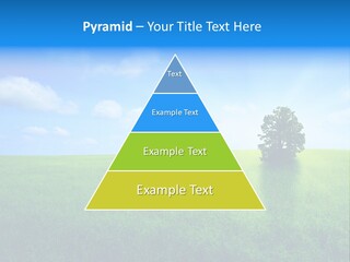 A Green Field With A Tree In The Middle Of It PowerPoint Template