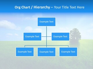 A Green Field With A Tree In The Middle Of It PowerPoint Template