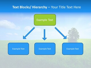 A Green Field With A Tree In The Middle Of It PowerPoint Template