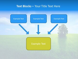 A Green Field With A Tree In The Middle Of It PowerPoint Template