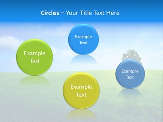 A Green Field With A Tree In The Middle Of It PowerPoint Template