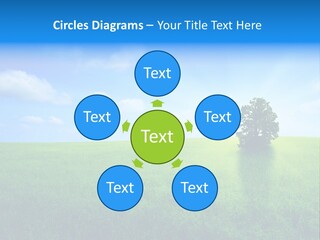 A Green Field With A Tree In The Middle Of It PowerPoint Template