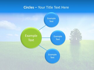 A Green Field With A Tree In The Middle Of It PowerPoint Template